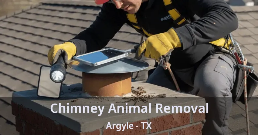 Chimney Animal Removal Argyle - TX