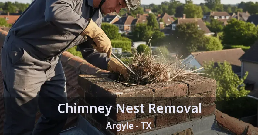 Chimney Nest Removal Argyle - TX