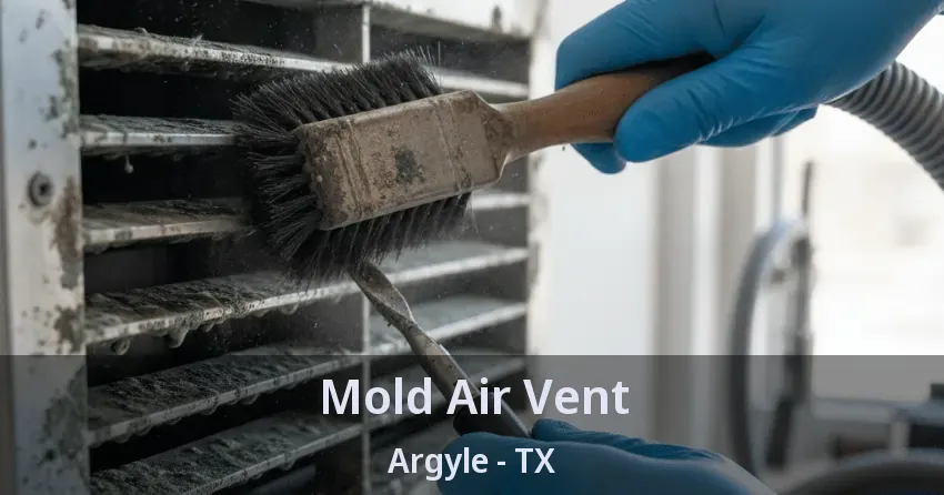 Mold Air Vent Argyle - TX Mold Air Vent Argyle - TX