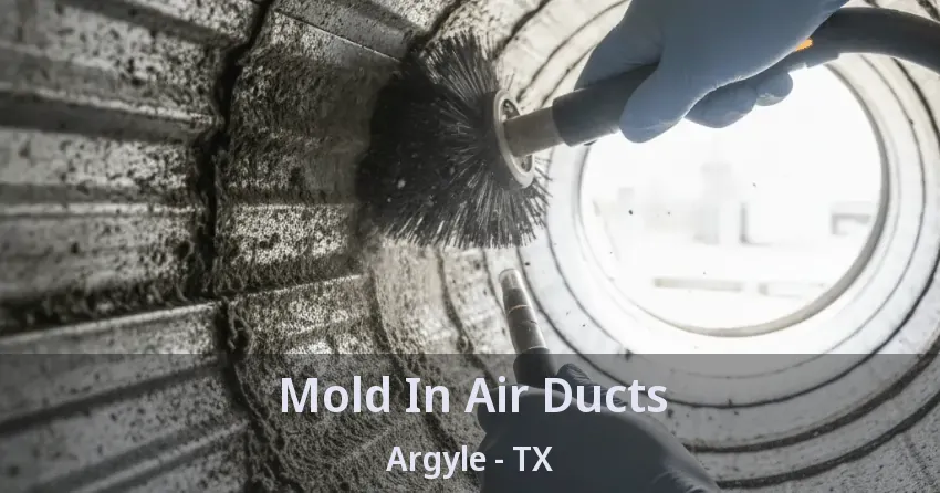 Mold In Air Ducts Argyle - TX
