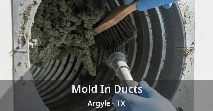 Mold In Ducts Argyle - TX