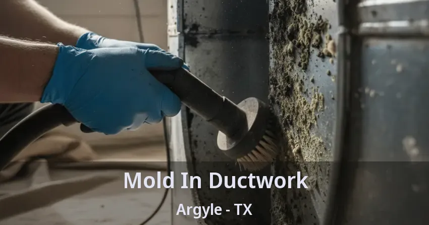Mold In Ductwork Argyle - TX