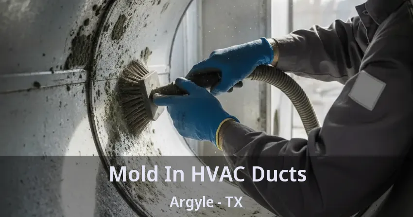 Mold In HVAC Ducts Argyle - TX