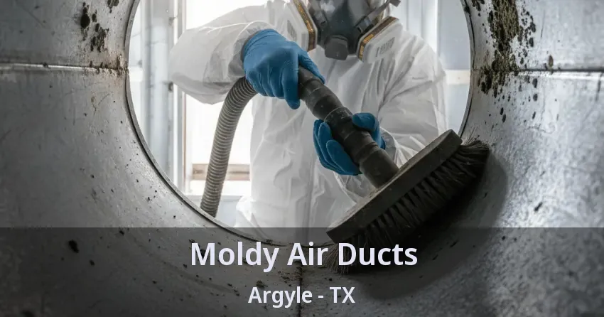 Moldy Air Ducts Argyle - TX
